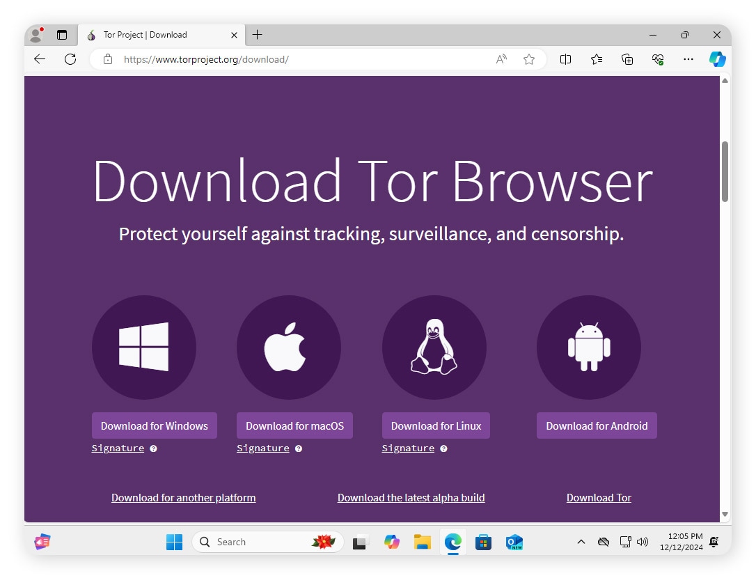 An image of the Tor Browser download page.