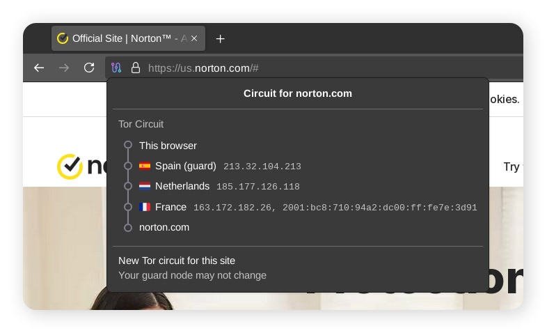 An image showing the different nodes in a Tor circuit.