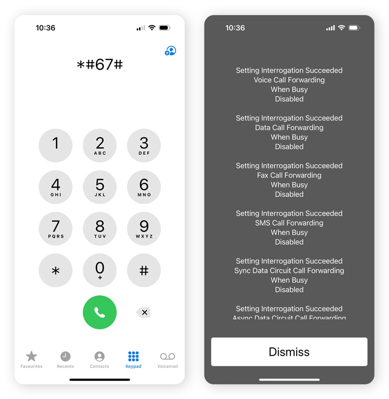 Screenshots showing the display when you dial the *#67# code on an iPhone.
