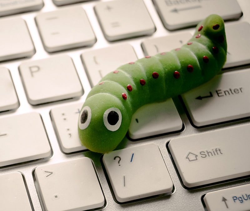 What is a computer worm? How they work and spread
